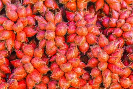 Zalacca, Traditional seasonal Sweet fruit flavors of Thailand の写真素材