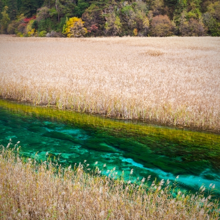 Jiuzhaigou Valley Scenic and Historic Interest Area, Sichuan, Chinaの写真素材
