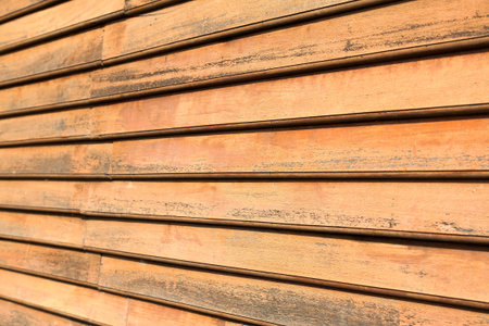 Wooden wall texture, wood background 