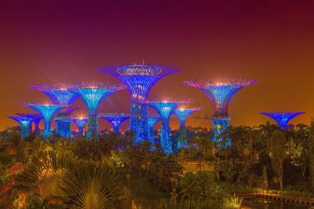 SINGAPORE - AUG 31: Gardens by the Bay at night on August 31, 2014 in Singapore. Gardens by the Bay was crowned World Building of the Year at the World Architecture Festival 2012 のeditorial素材