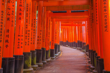 Fushimi Inari Shrine in Kyoto, Japan. Thousands of torii gates straddle a network of trails. A walking path leads through a tunnel of toriiのeditorial素材