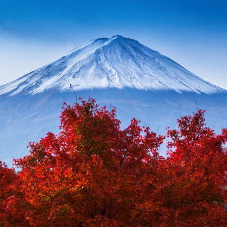Beautiful Mt Fuji with Red Maple tree in Autumnの写真素材