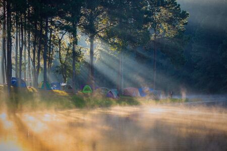 In the morning, Pang Ung Forestry Plantations, Maehongson Province, North of Thailandの写真素材