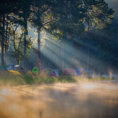 In the morning, Pang Ung Forestry Plantations, Maehongson Province, North of Thailandの写真素材
