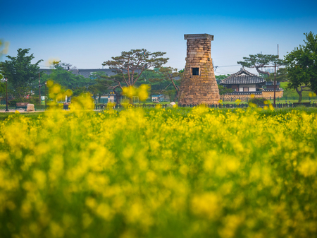 Cheomseongdae observatory in Gyeongju, Koreaの写真素材