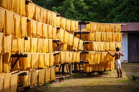 Export industries of Thailand Rubber Post ,Rubber production, Baking process timber with solar energy.の写真素材