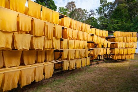 Export industries of Thailand Rubber Post ,Rubber production, Baking process timber with solar energy.の写真素材