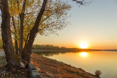 autumn river tree sunset.の写真素材