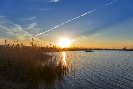 sunset over lake swamp.の写真素材