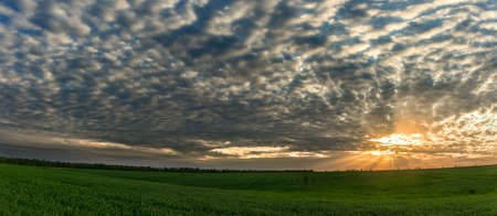 the rays of the sun over the green field panorama.の写真素材