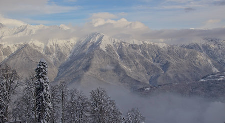 The Alpine landscape in a subtropical zone of the coast of the Black Sea in the town of Esto-Sadok Sochi, Russia.の写真素材