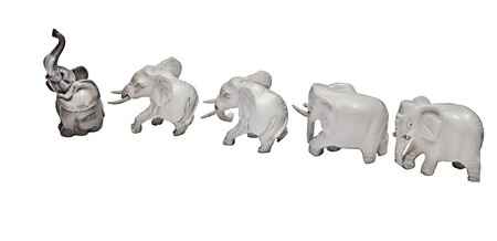 Individualist. Figures of elephants go a system on a white background. One of them completely differs from the others.の写真素材
