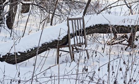 The thrown corner located in an old winter garden with the broken chair.の写真素材