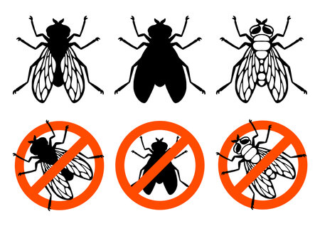 Fly insect. Prohibition sign. Outline silhouette. Design element. Vector illustration isolated on white background. Template for reppelent.のイラスト素材