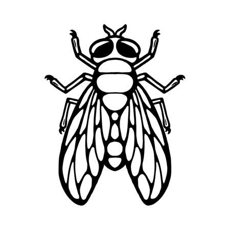fly insect. outline silhouette. design element. Vector illustration isolated on white background. Template for reppelent.のイラスト素材