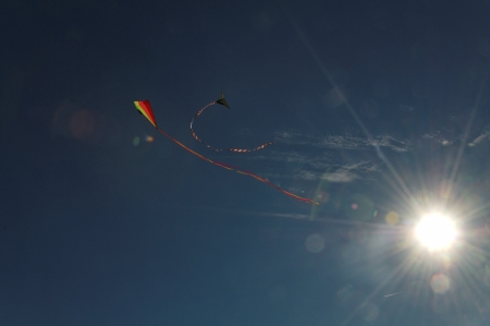 kites in blue sky with back light and lens flaresの写真素材