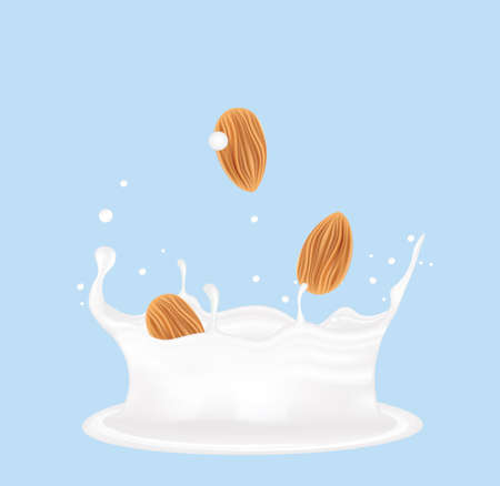 Milk splash with almond, vectorのイラスト素材