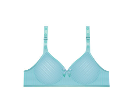 Blue woman bra. vector illustrationのイラスト素材