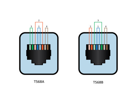 UTP ethernet cabling standards. vector