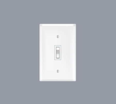 One light switch. vector illustrationのイラスト素材