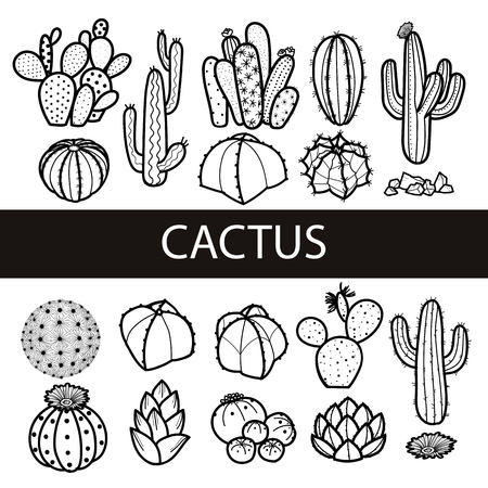 Set of isolated cactus and succulents in black outline. Hand drawn style. Vector illustration.のイラスト素材