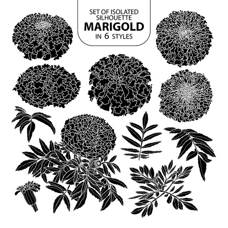 Set of isolated silhouette marigold in 6 styles. Cute hand drawn vector illustration in white outline and black plane on white background.のイラスト素材