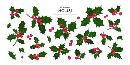 Set of isolated cute flower illustration in hand drawn style. Black outline with red and green colors on white background.のイラスト素材