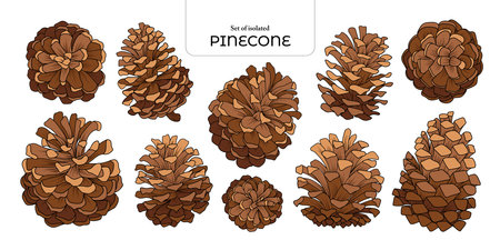 Set of isolated cute plants illustration in hand drawn style. Vivid color tone on a white background.のイラスト素材