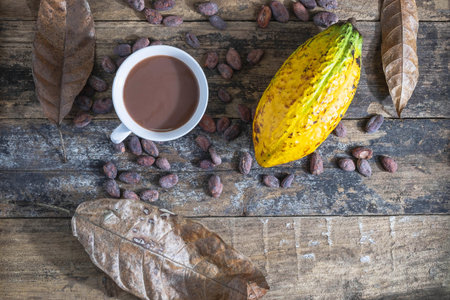 Cocoa cup and cocoa fruit on wooden table
