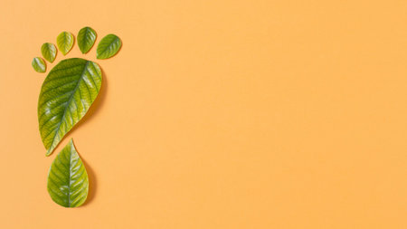 Still life sustainable lifestyle elements arrangement