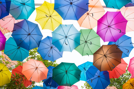 colour umbrella background in day time and clear sky.