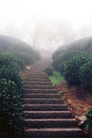 Landscape Marvelous