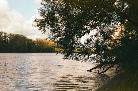 landscape with the river