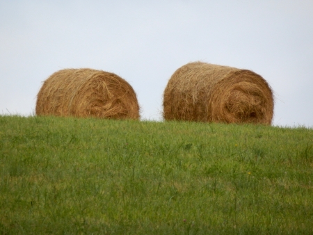 Hay Bales on the horizonの写真素材