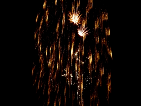 Firework cascading through the night skyの写真素材