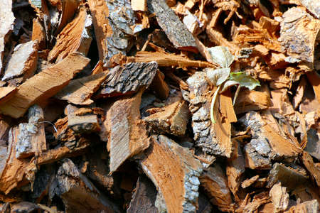 Close up of bark chippings from an electric shredder - ideal for compost or as heating materialの写真素材
