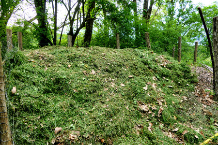 Fresh grass cuttings tipped onto a compost heapの写真素材