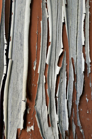 Paint flaking and peeling from an old shabby French shutterの写真素材