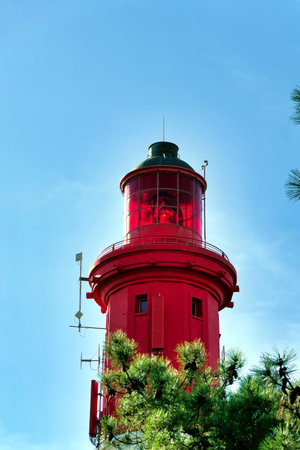 A glimpse of Cap Ferret Lighthouse, 57 metres high, poking through the maritime pines on a peninsula jutting out from Arcachon Bay, France into the Atlantic Oceanの写真素材