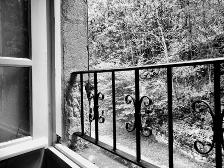 Black and white photo of a view of woodland as seen from a cottage bedroom windowの写真素材