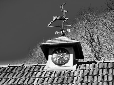 Black and white photo of  a stag weather vane atop a clock tower