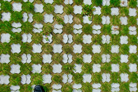 Car parking space constructed using gravel and cement blocks with grass growing in betweenの写真素材