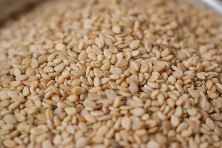 Sesame seeds close up background. Sesame seeds texture background.の写真素材