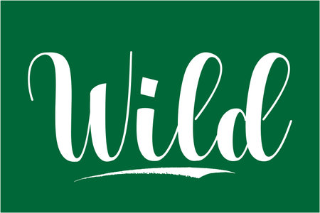 Wild Calligraphy Cursive Text of Quotation Words imageのイラスト素材