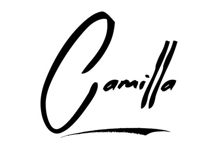 Camilla Baby Girl Name in Stylish Lettering brush Typography Text imageのイラスト素材