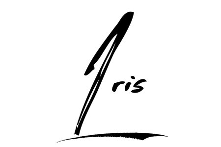 Iris Baby Girl Name in Stylish Lettering brush Typography Text imageのイラスト素材