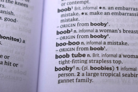 English Dictionary Definition Of Word -   Boob tube  Image