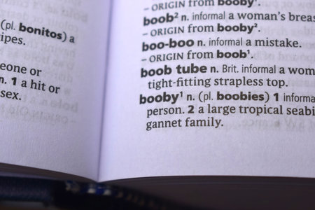 Close Up Of English Dictionary Page With Word -   Booby   Image
