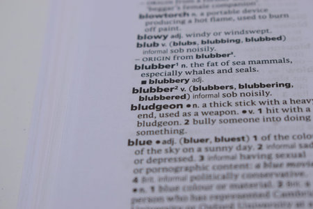 English Definition Dictionary Page Of Printed Word -  Bludgeon  Close Up Image