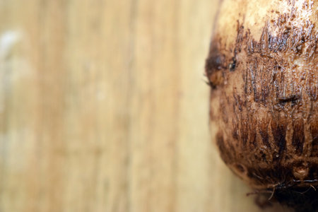 Fresh Taro Root Vegetable On Wooden Table Close Up With Background Blur  Imageの写真素材